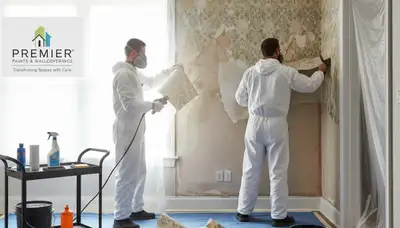 Green Bay Paint Pros removing wallpaper in Green Bay, WI with careful, mess-conscious service